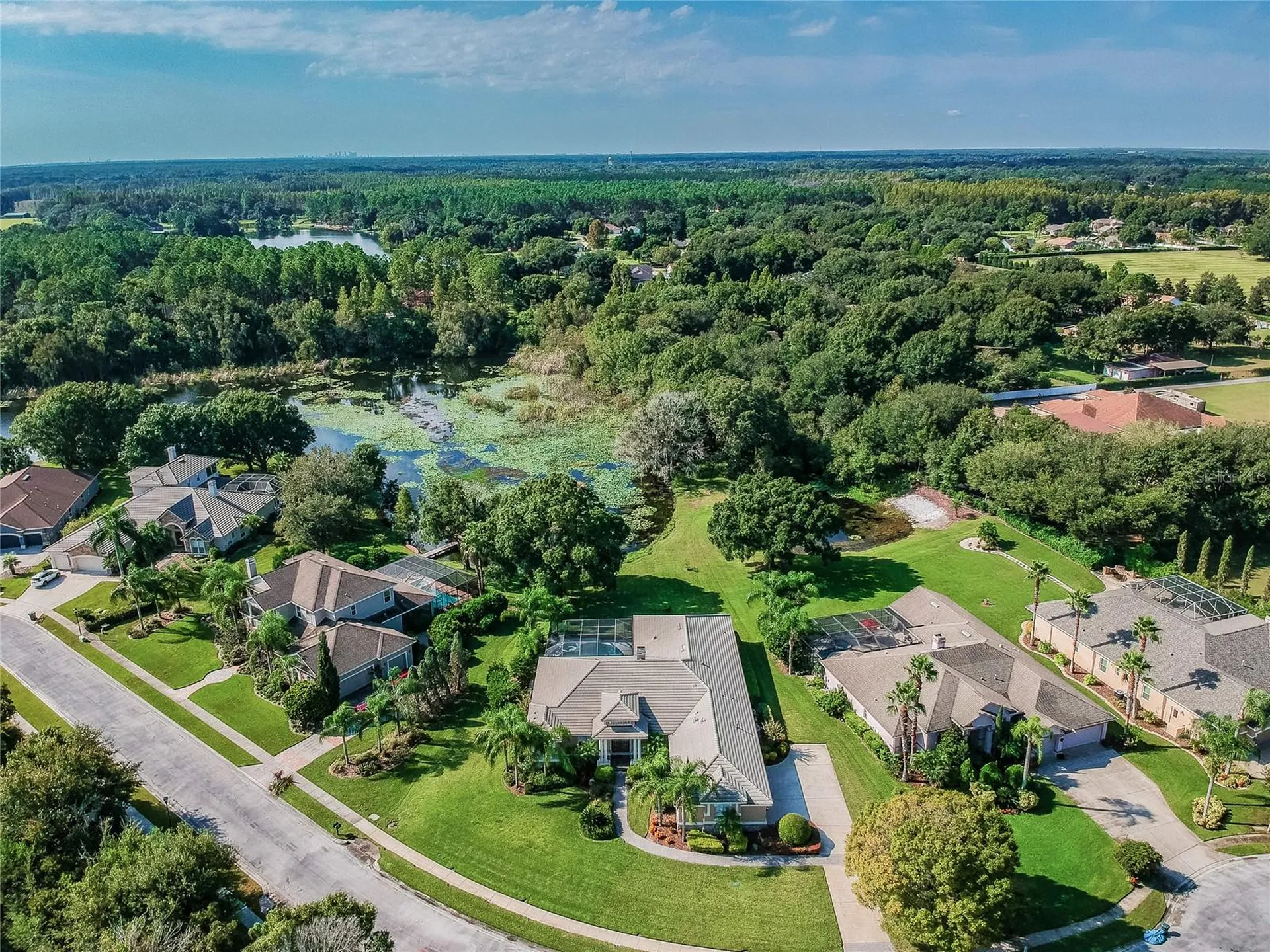 1107 Oxbridge Drive Lutz FL 33549