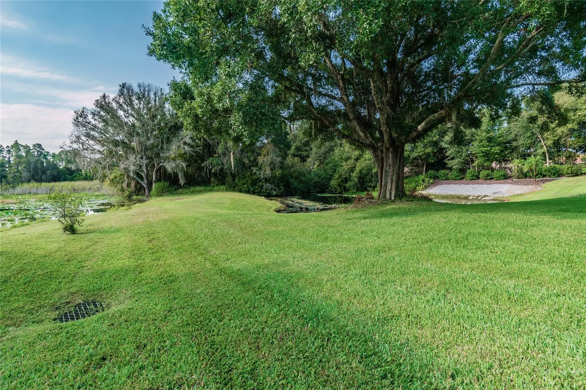 1107 Oxbridge Drive Lutz FL 33549