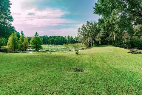 1107 Oxbridge Drive Lutz FL 33549
