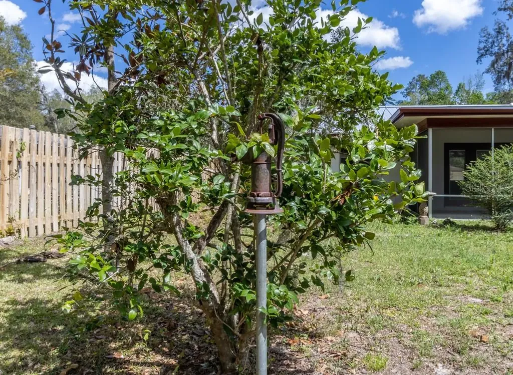 3426 NW 40th Street Gainesville FL 32606