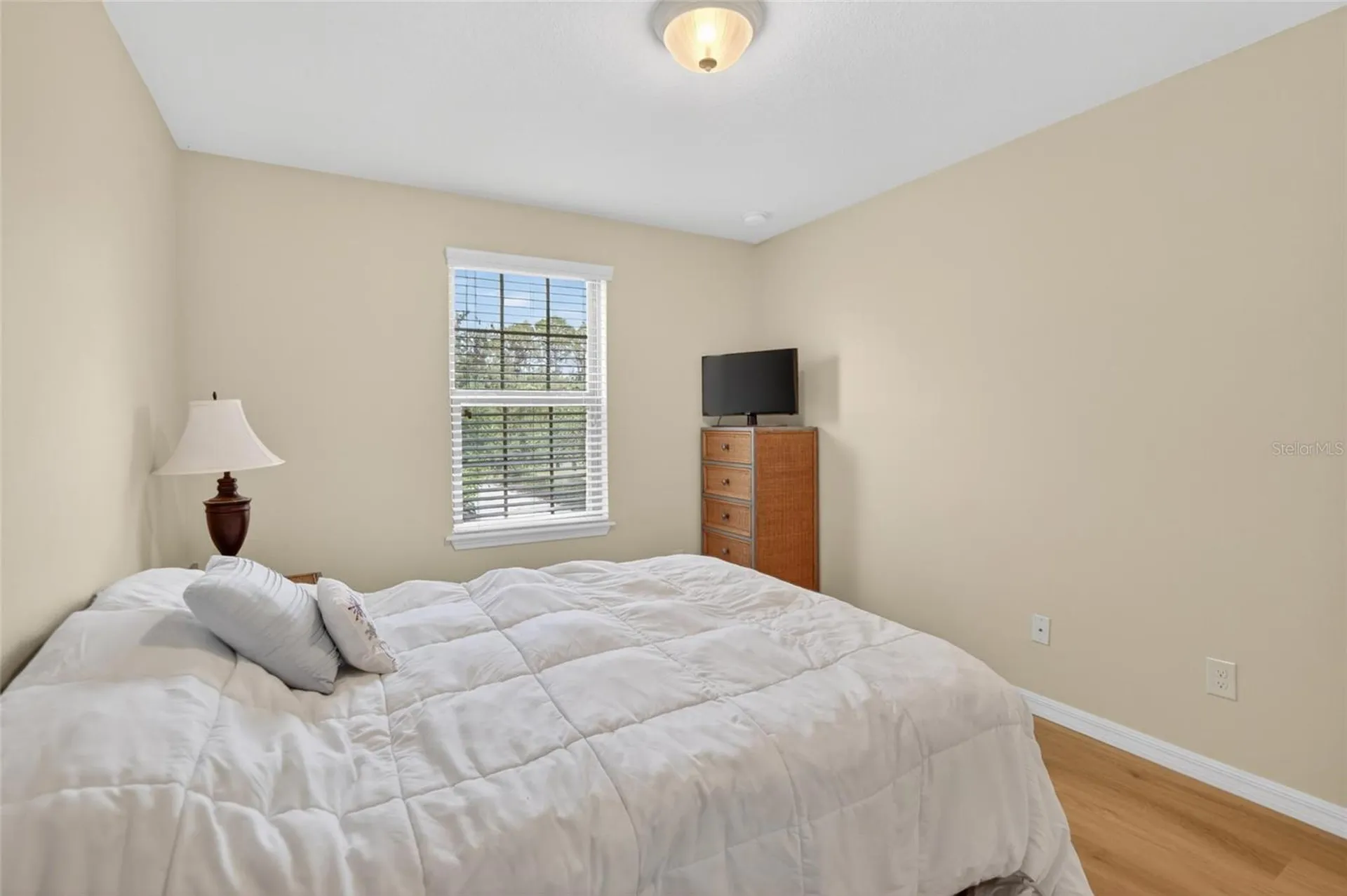 6207 Magnolia Park Boulevard Riverview FL 33578
