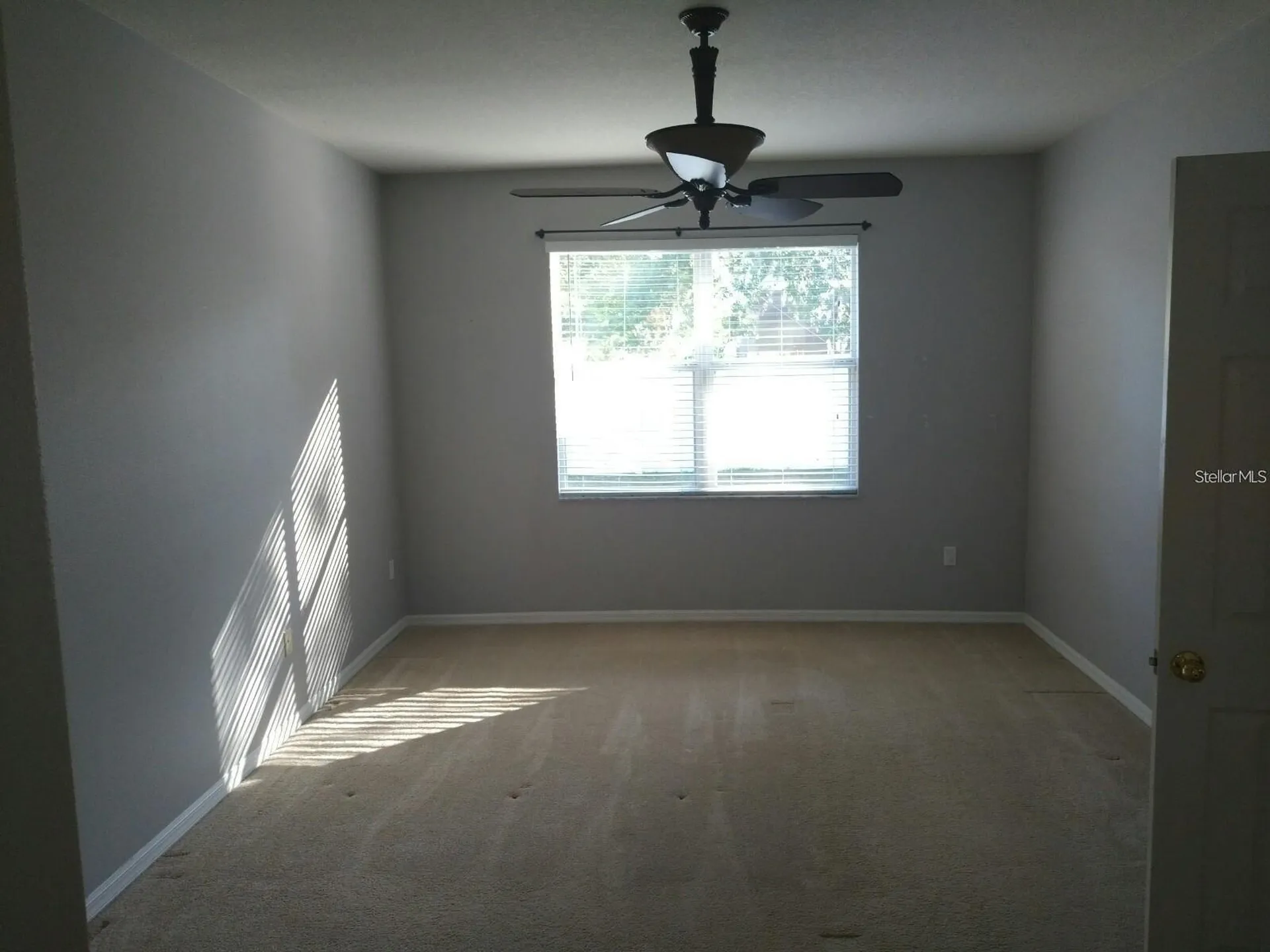 5804 Justicia Loop Land O Lakes FL 34639