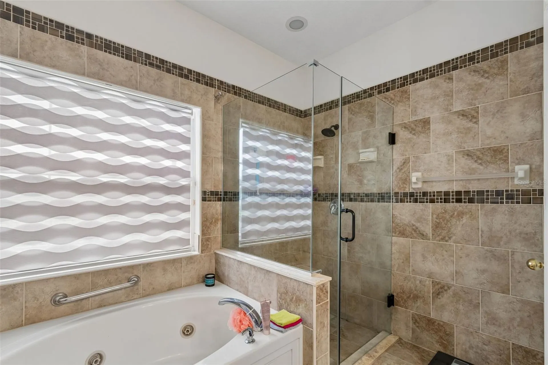 6050 Blue Sage Drive Land O Lakes FL 34639
