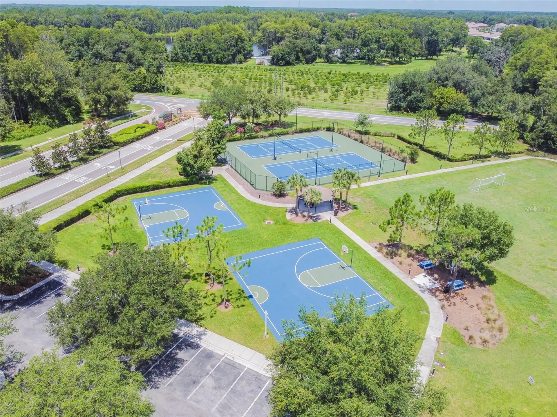 6050 Blue Sage Drive Land O Lakes FL 34639