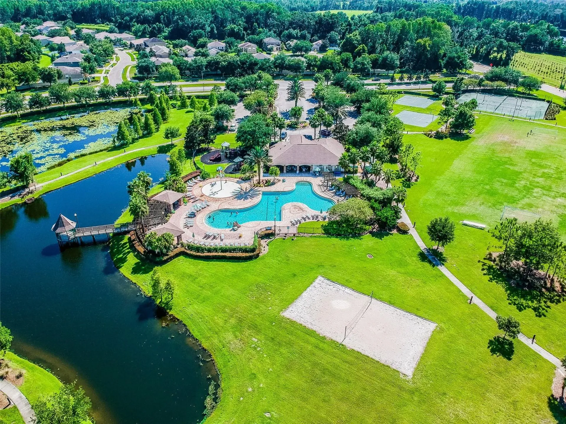 6050 Blue Sage Drive Land O Lakes FL 34639