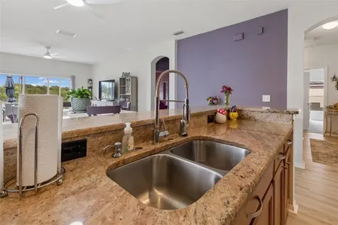6050 Blue Sage Drive Land O Lakes FL 34639