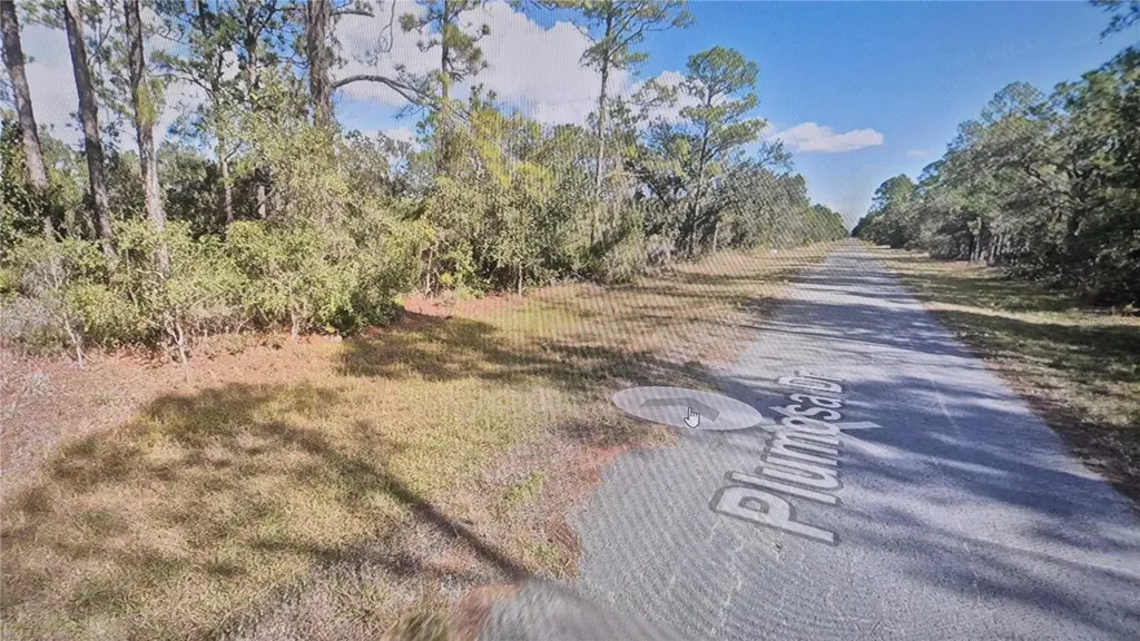 Plumosa Drive Indian Lake Estates FL 33855