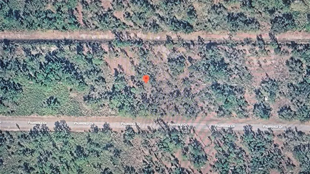 Plumosa Drive Indian Lake Estates FL 33855