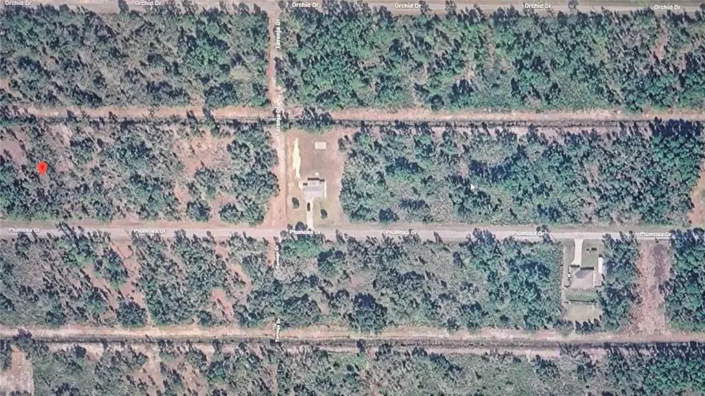 Plumosa Drive Indian Lake Estates FL 33855