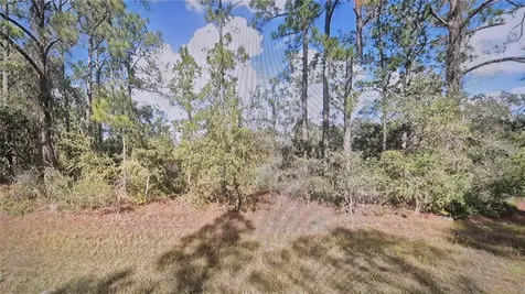 Plumosa Drive Indian Lake Estates FL 33855