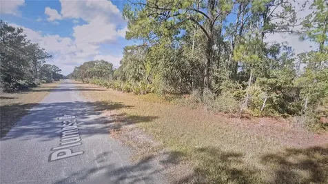 Plumosa Drive Indian Lake Estates FL 33855