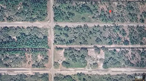 Plumosa Drive Indian Lake Estates FL 33855
