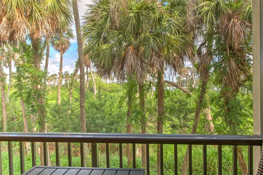 4722 Tuscan Loon Drive Tampa FL 33619