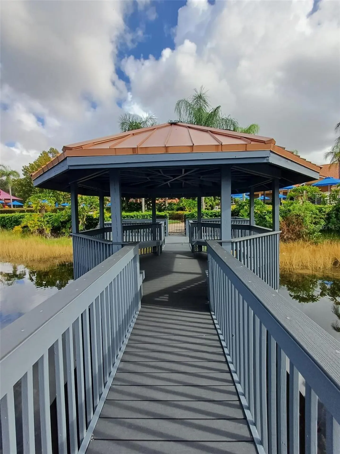 3005 Red Ginger Road Kissimmee FL 34747