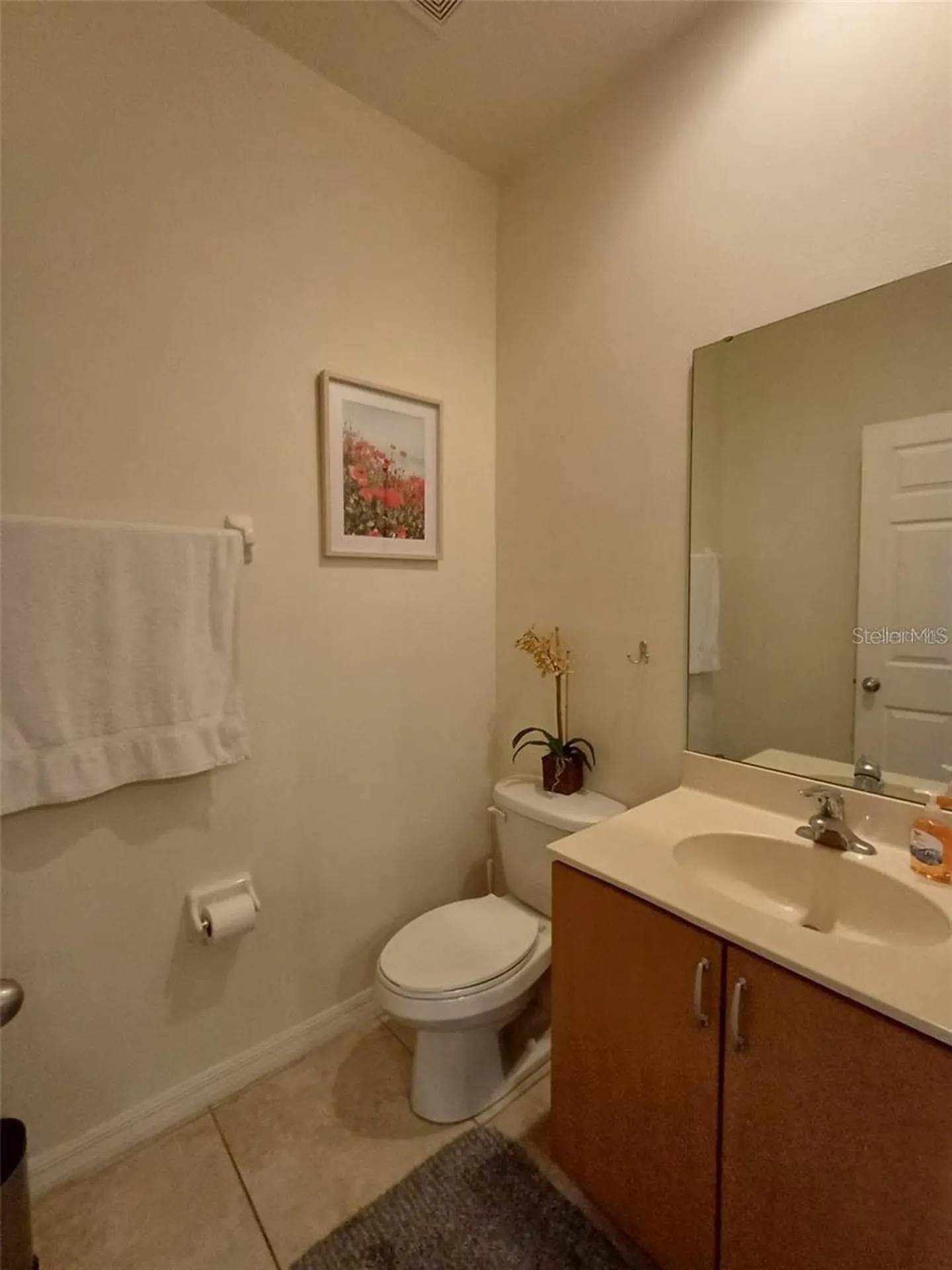 3005 Red Ginger Road Kissimmee FL 34747