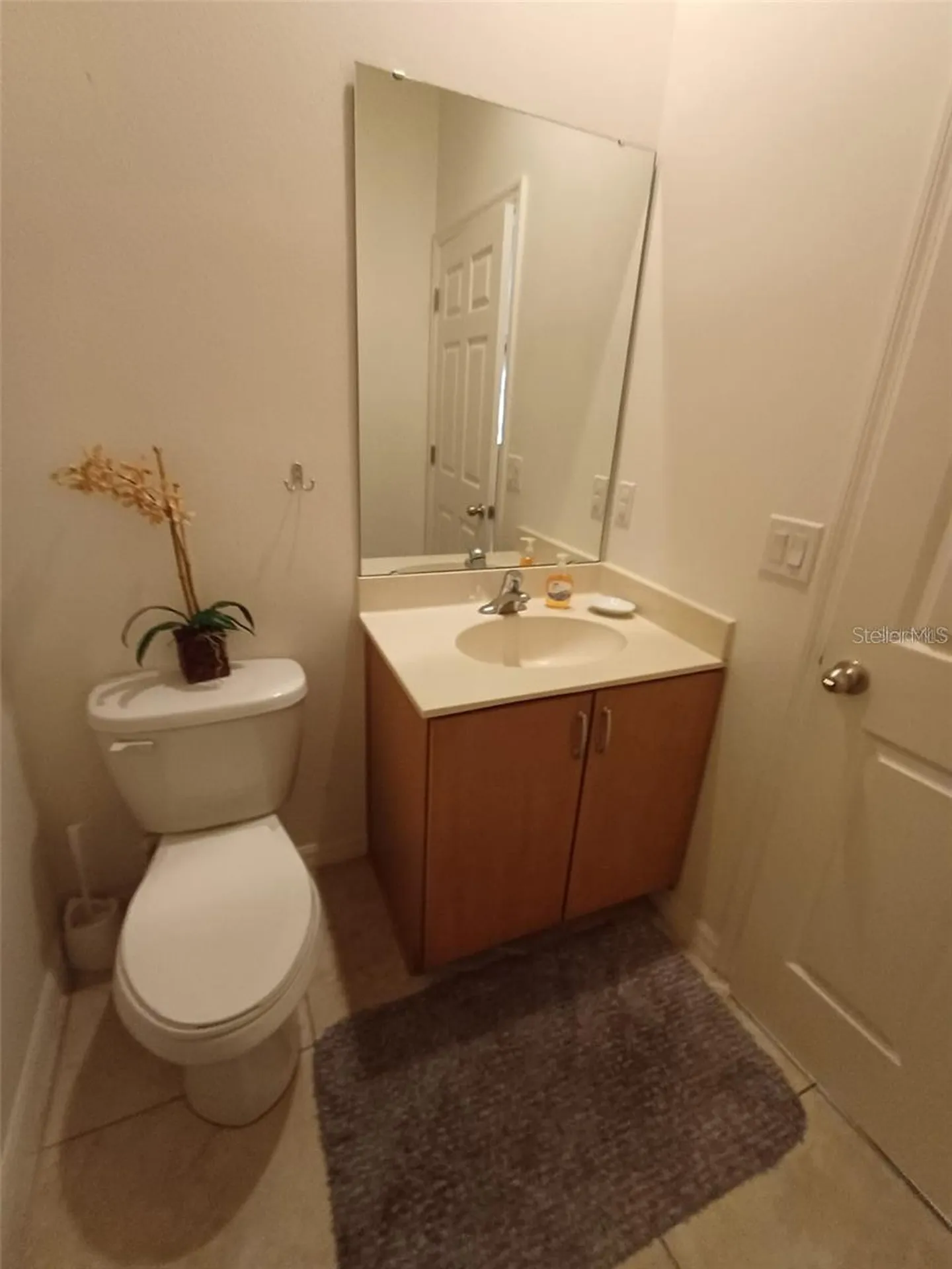 3005 Red Ginger Road Kissimmee FL 34747