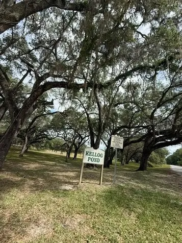 13346 SW 111 Lane Dunnellon FL 34432