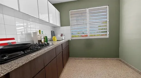 120 Bo Hato Tejas, Calle Pajaros Bayamon PR 00959