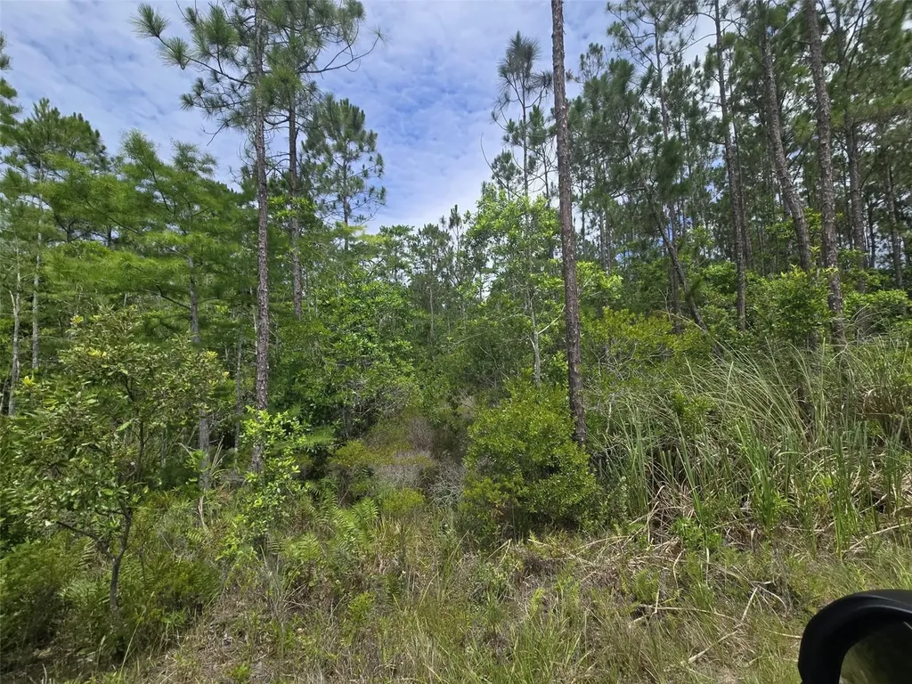 1135 Omega Ranch Road New Smyrna Beach FL 32168