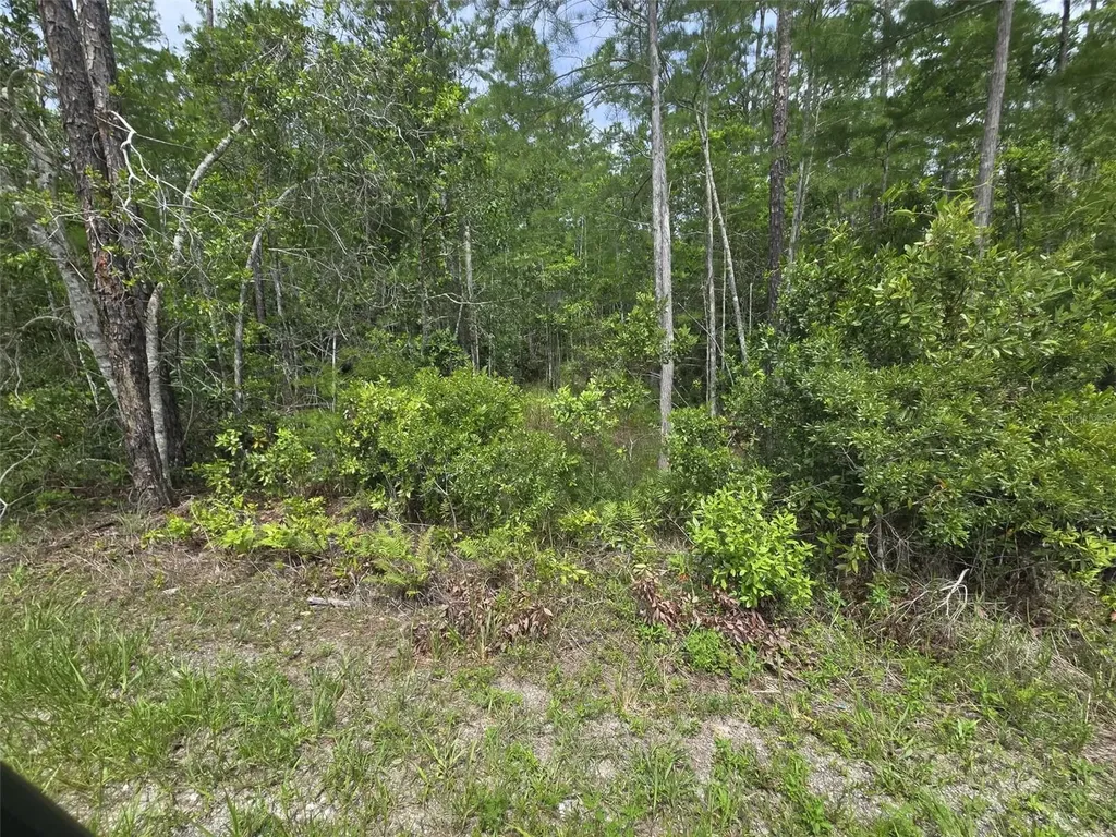 1135 Omega Ranch Road New Smyrna Beach FL 32168