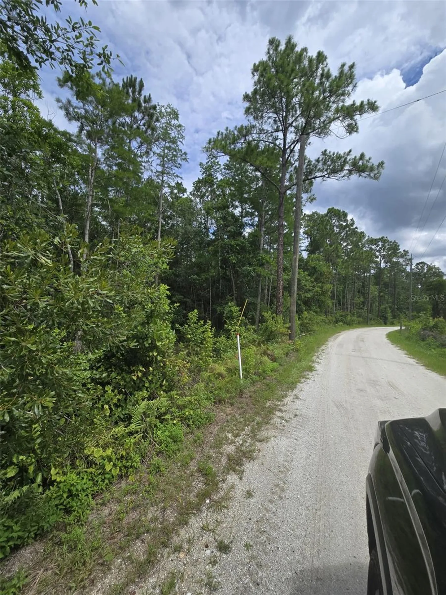 1135 Omega Ranch Road New Smyrna Beach FL 32168
