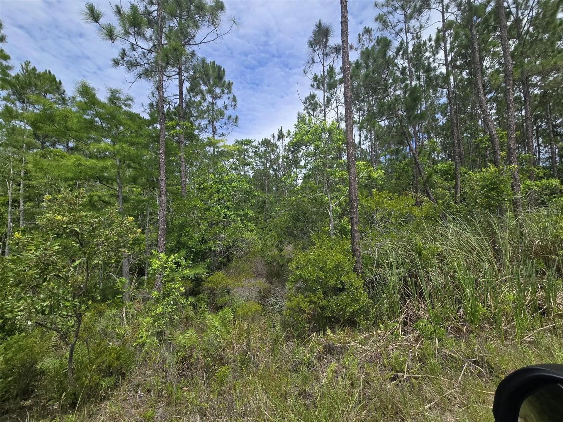 1135 Omega Ranch Road New Smyrna Beach FL 32168