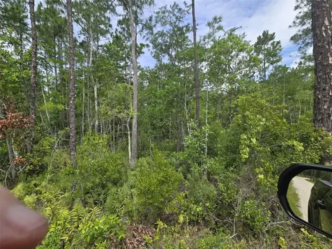 1135 Omega Ranch Road New Smyrna Beach FL 32168