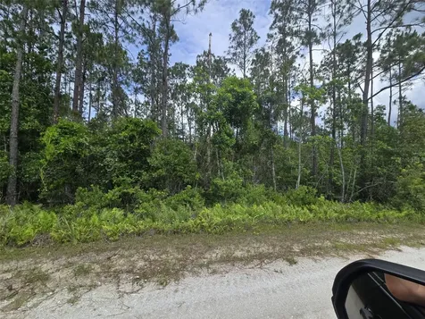 1135 Omega Ranch Road New Smyrna Beach FL 32168