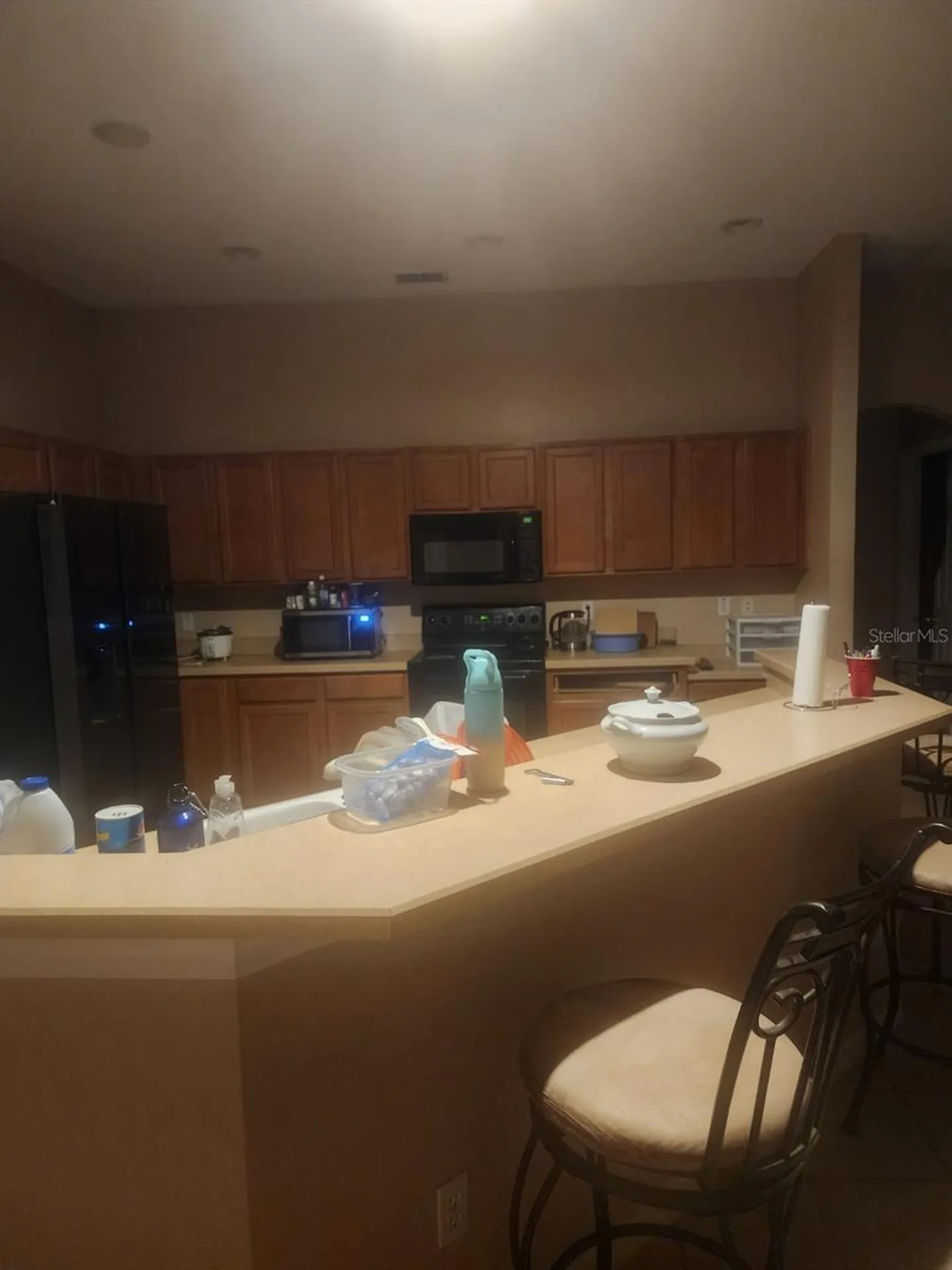 4871 Fells Cove Avenue Kissimmee FL 34744