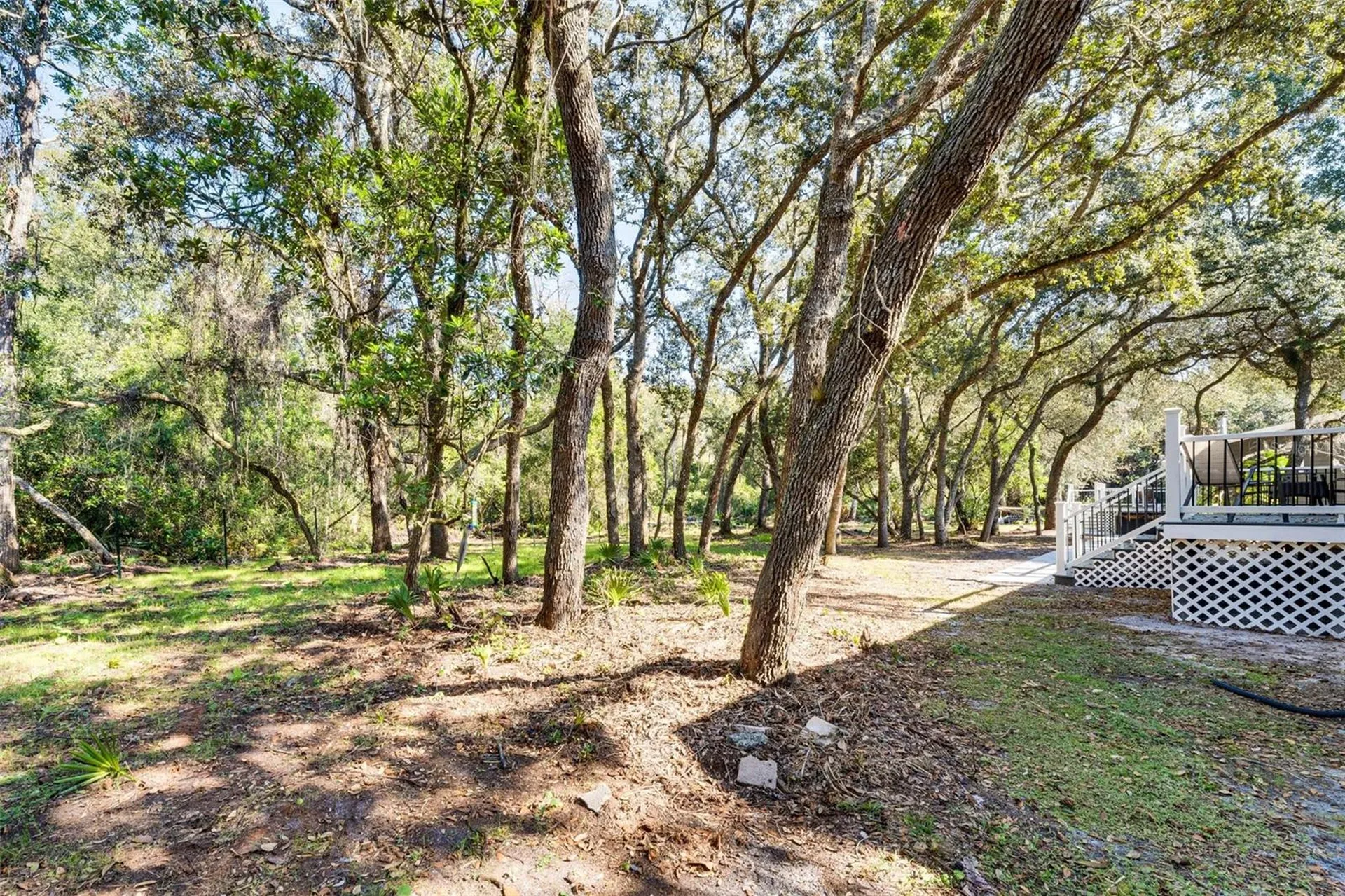 8125 Shelley Trail Kissimmee FL 34747