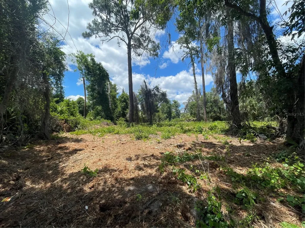 County Road 42 Umatilla FL 32784