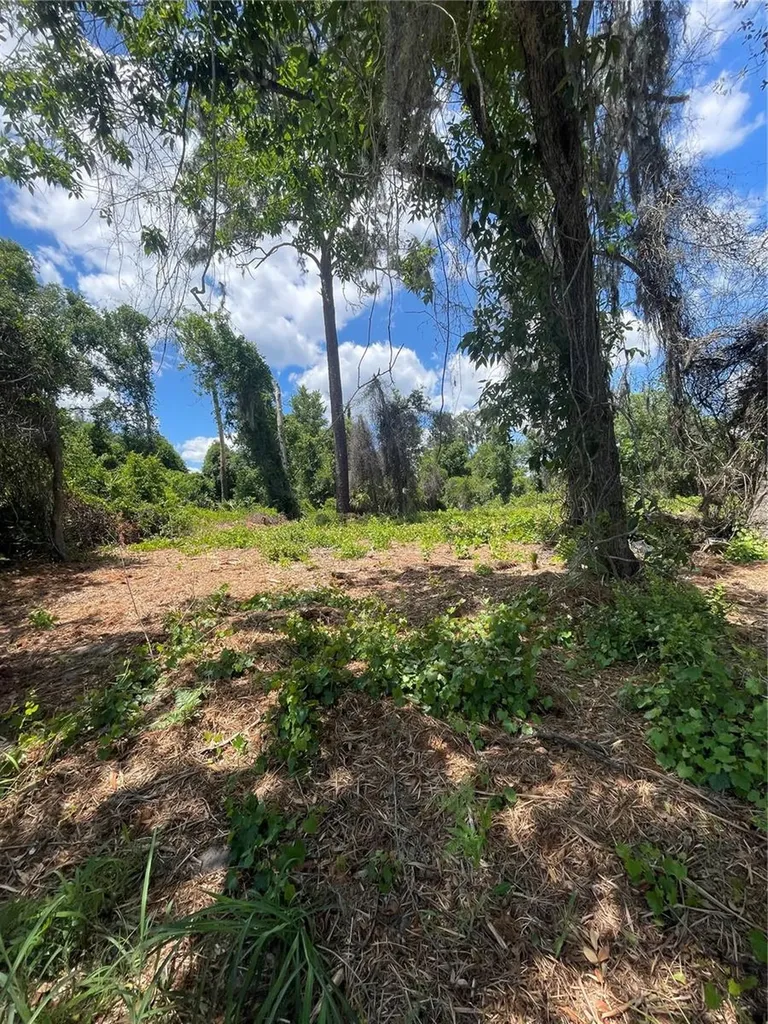 County Road 42 Umatilla FL 32784
