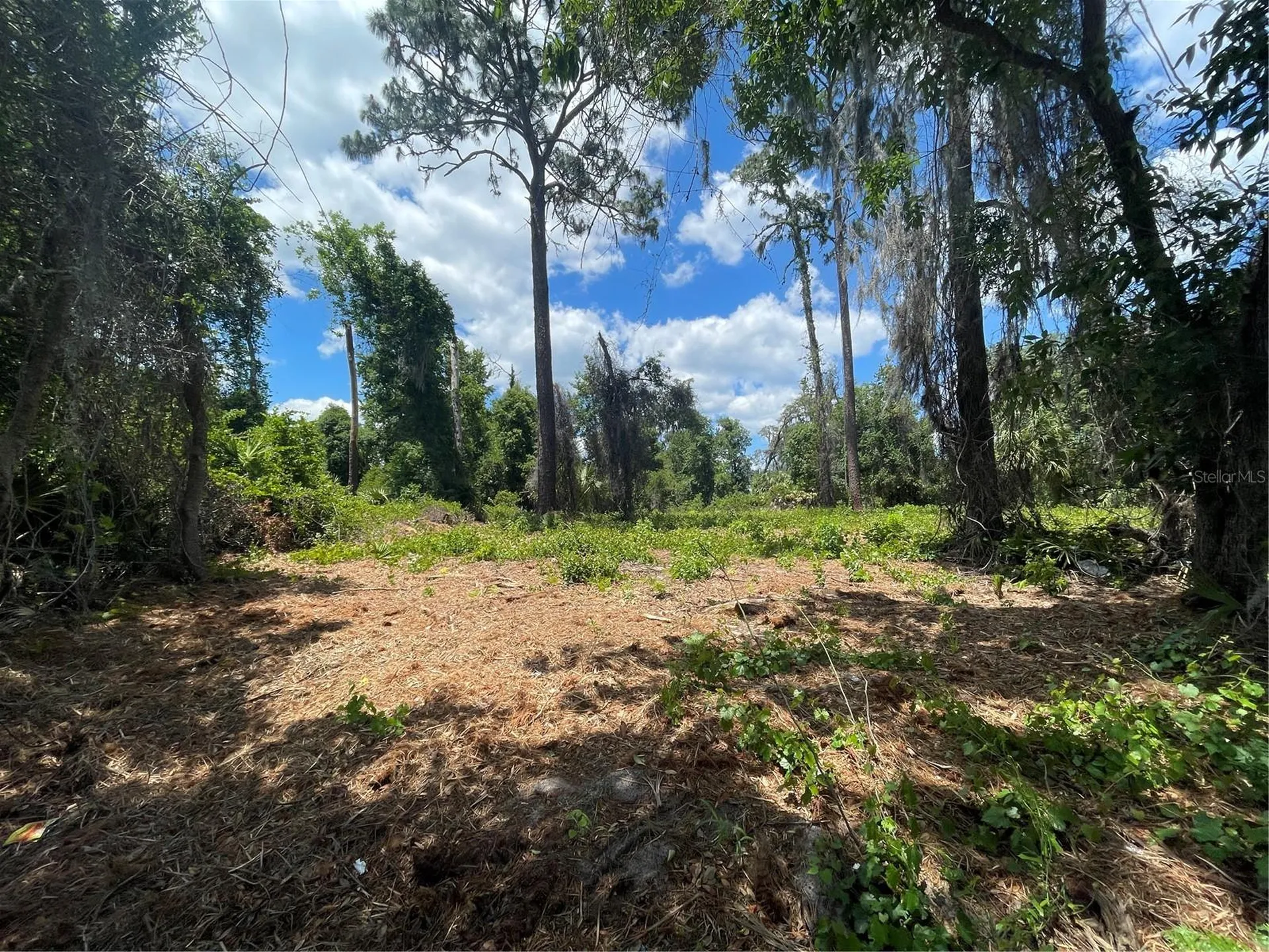 County Road 42 Umatilla FL 32784