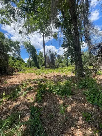 County Road 42 Umatilla FL 32784