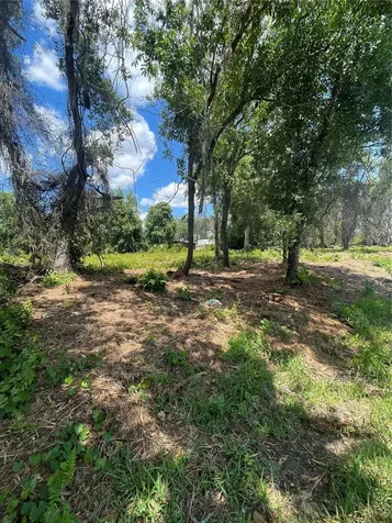 County Road 42 Umatilla FL 32784