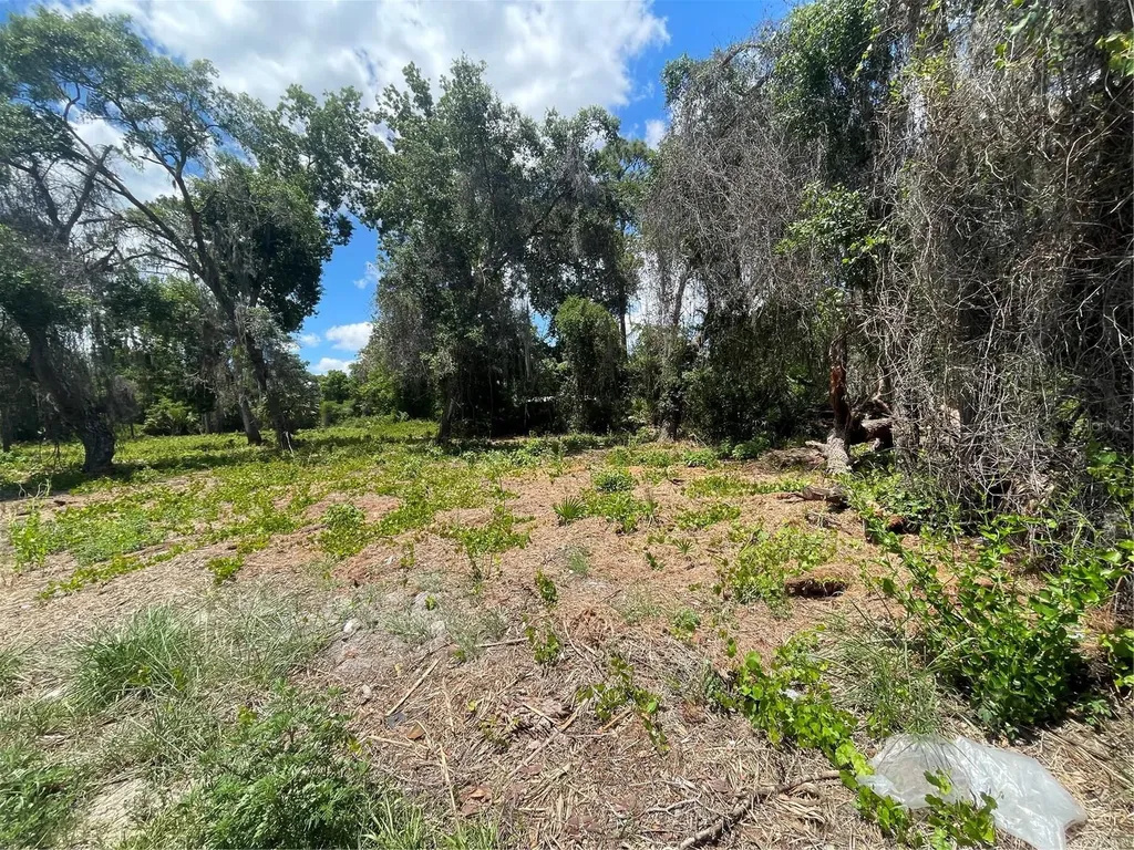 County Road 42 Umatilla FL 32784