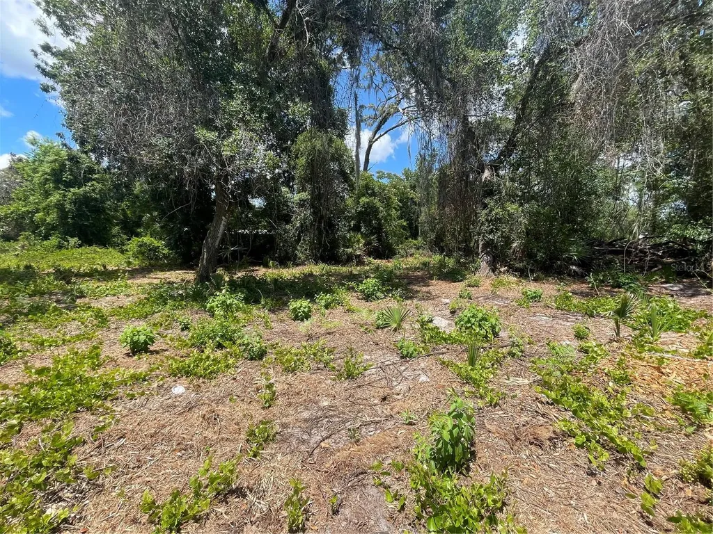 County Road 42 Umatilla FL 32784