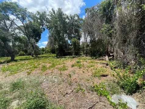 County Road 42 Umatilla FL 32784