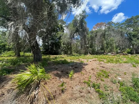 County Road 42 Umatilla FL 32784
