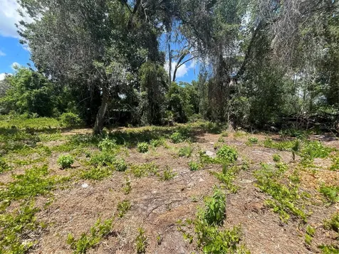 County Road 42 Umatilla FL 32784