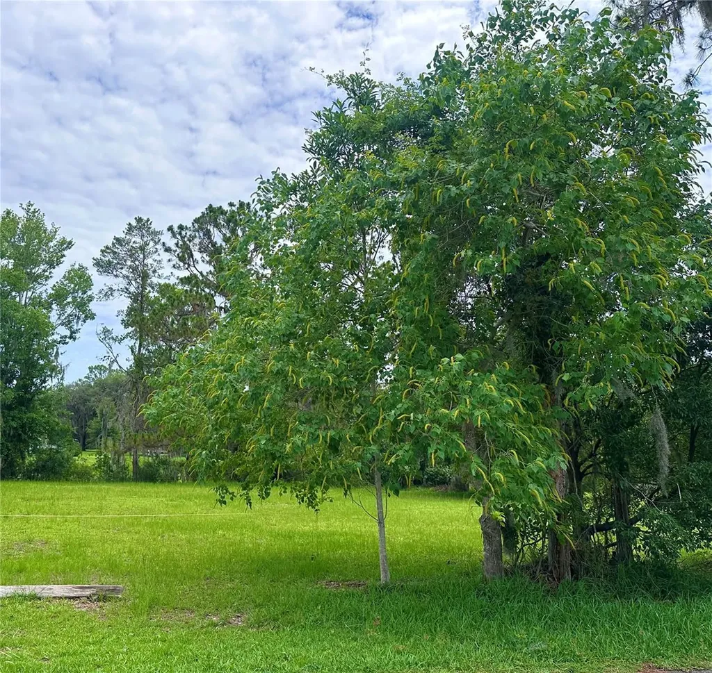 000 SE 197th Place Inglis FL 34449