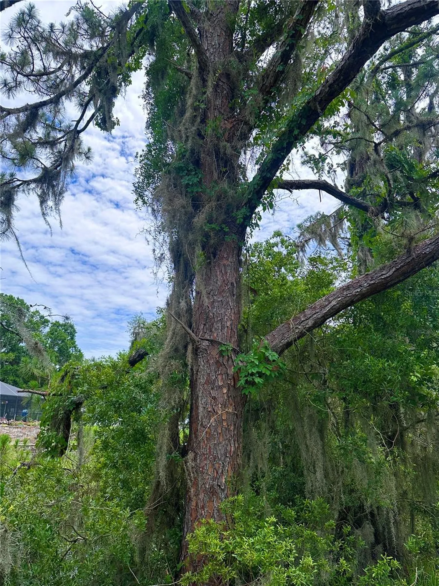 000 SE 197th Place Inglis FL 34449