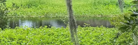000 SE 197th Place Inglis FL 34449