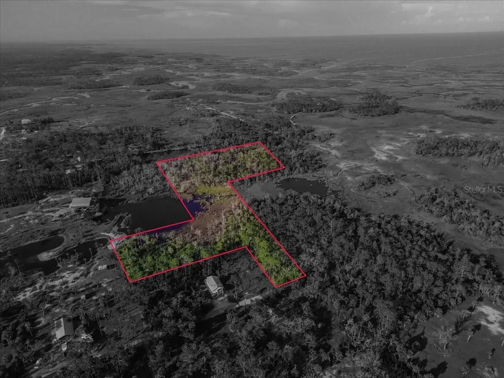 Tbd SW 276 Avenue Steinhatchee FL 32359