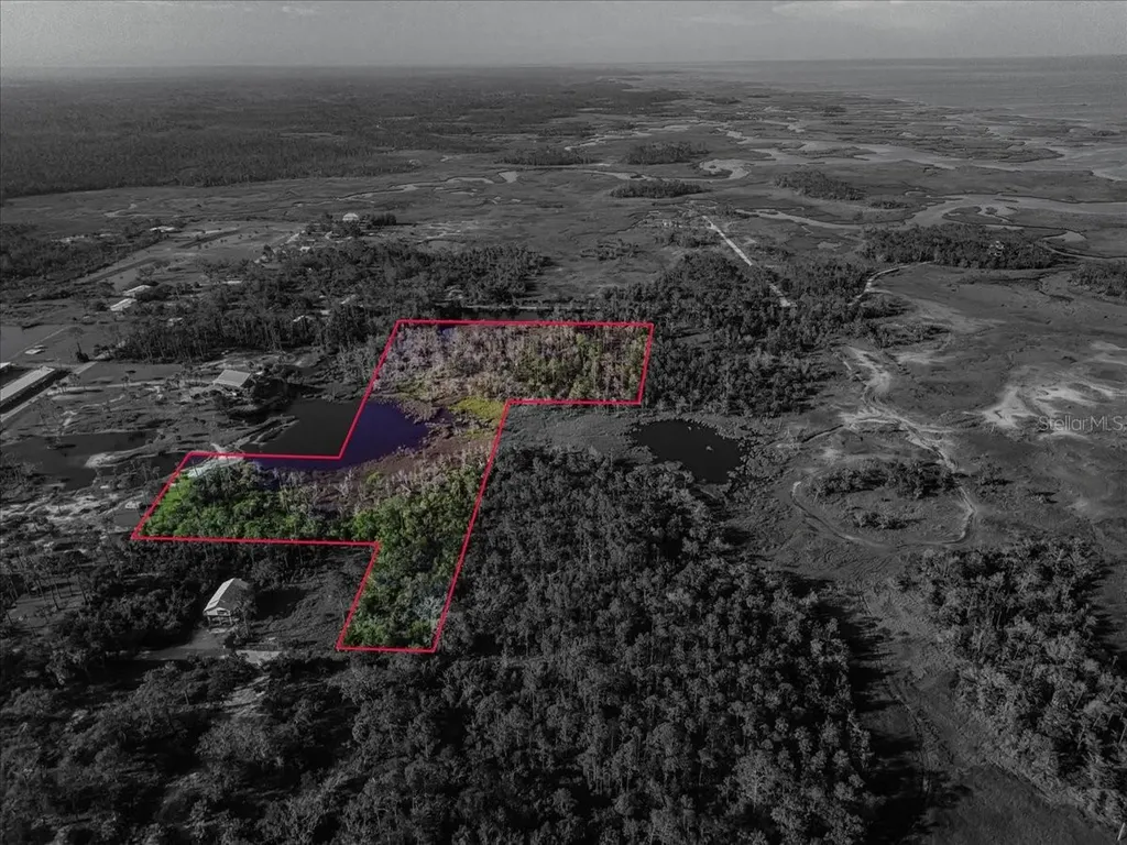 Tbd SW 276 Avenue Steinhatchee FL 32359