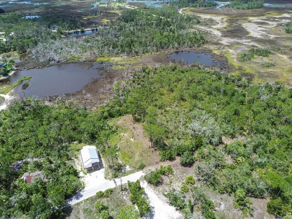 Tbd SW 276 Avenue Steinhatchee FL 32359