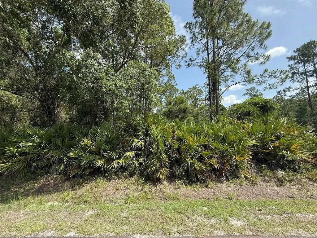 132 Millican Road Palatka FL 32177
