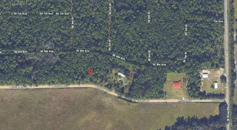 132 Millican Road Palatka FL 32177
