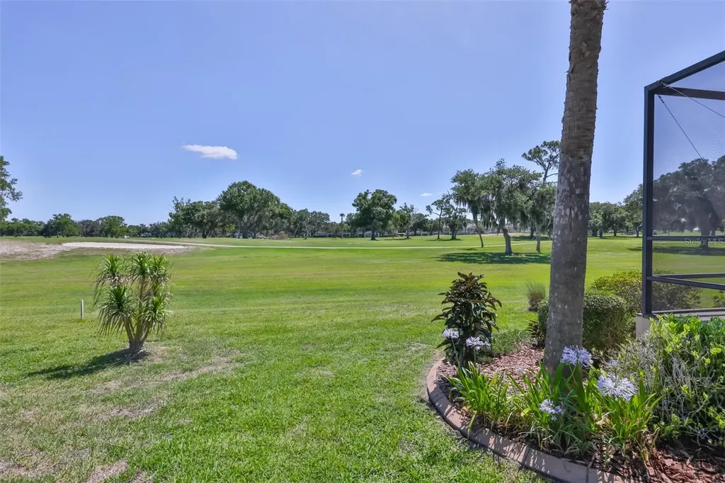 1917 Sterling Glen Court Sun City Center FL 33573