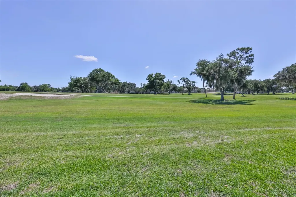 1917 Sterling Glen Court Sun City Center FL 33573